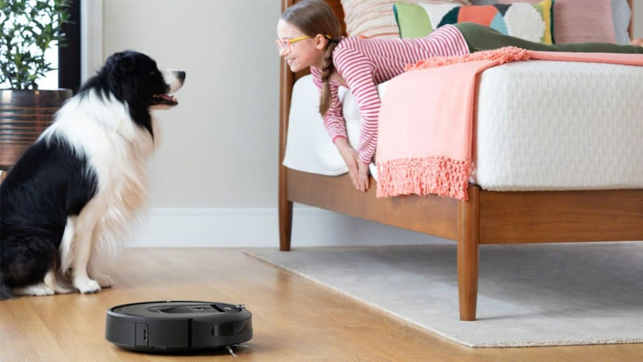 Why are people so obsessed with robot vacuums?