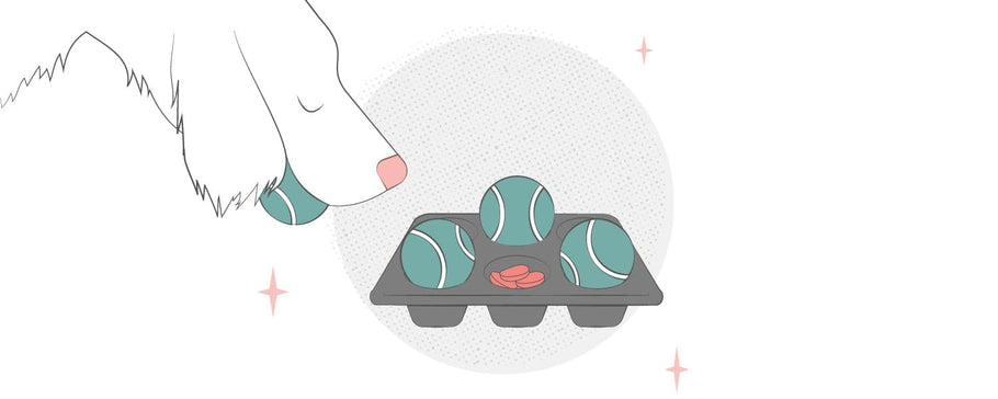 Similar to humans, dogs need their exercise to stay healthy