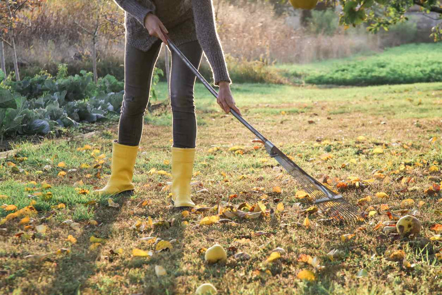 Garden superstitions are as common as the weeds that grow around your plant