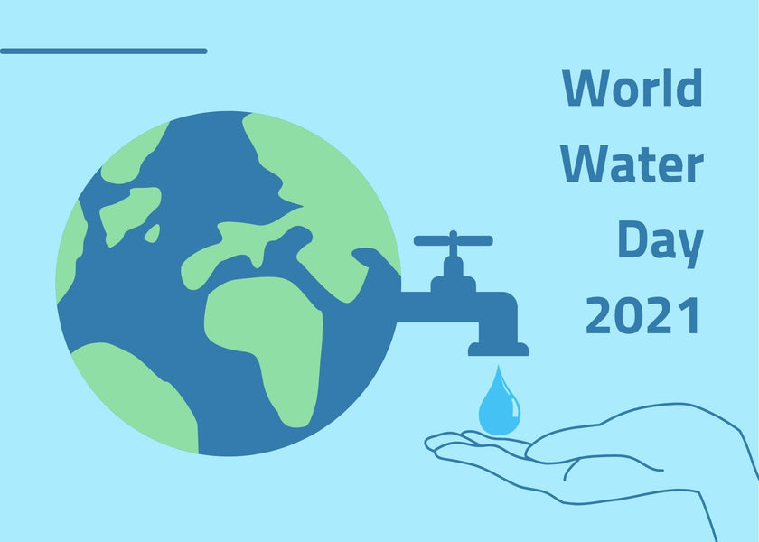 The post In Honor Of World Water Day 2021: Facts & Ways To Conserve Water In Your Home appeared first on Peaceful Dumpling.