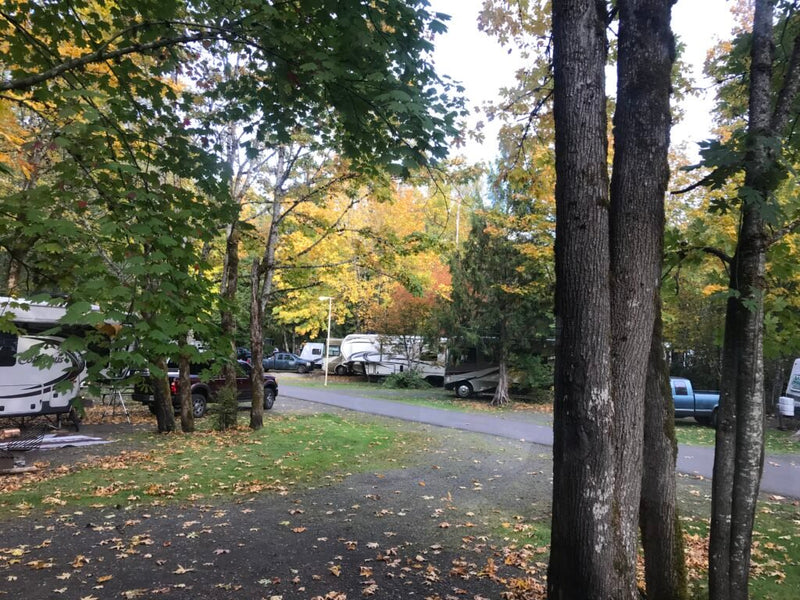 Stimulating creativity in kids is not a bad idea, but doing so with colorful packages of outdoor chalk in an RV park or campground has more downsides than we may realize