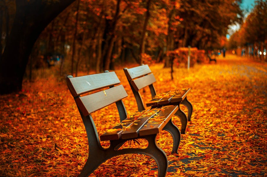 Moving in the fall allows you to avoid the summer rush and it is typically more affordable